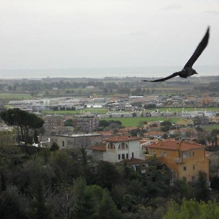 Al Castello Bed & Breakfast Tarquinia Bagian luar foto